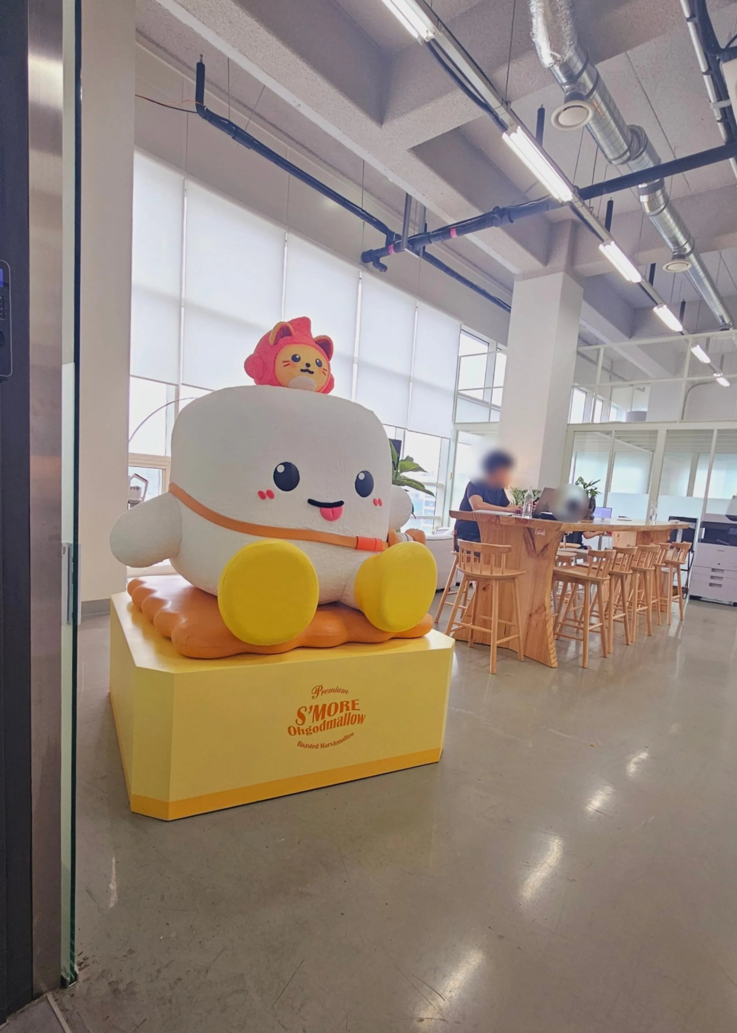 포트폴리오 대표사진