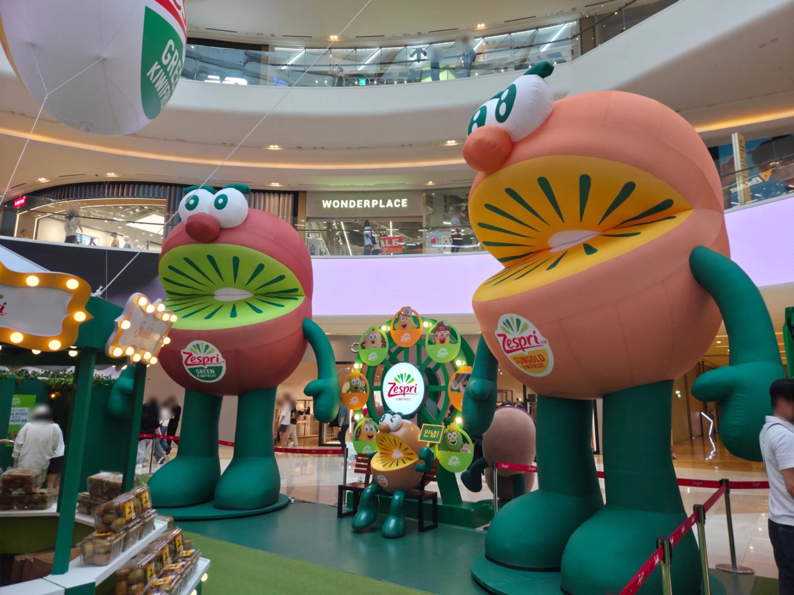 포트폴리오 대표사진