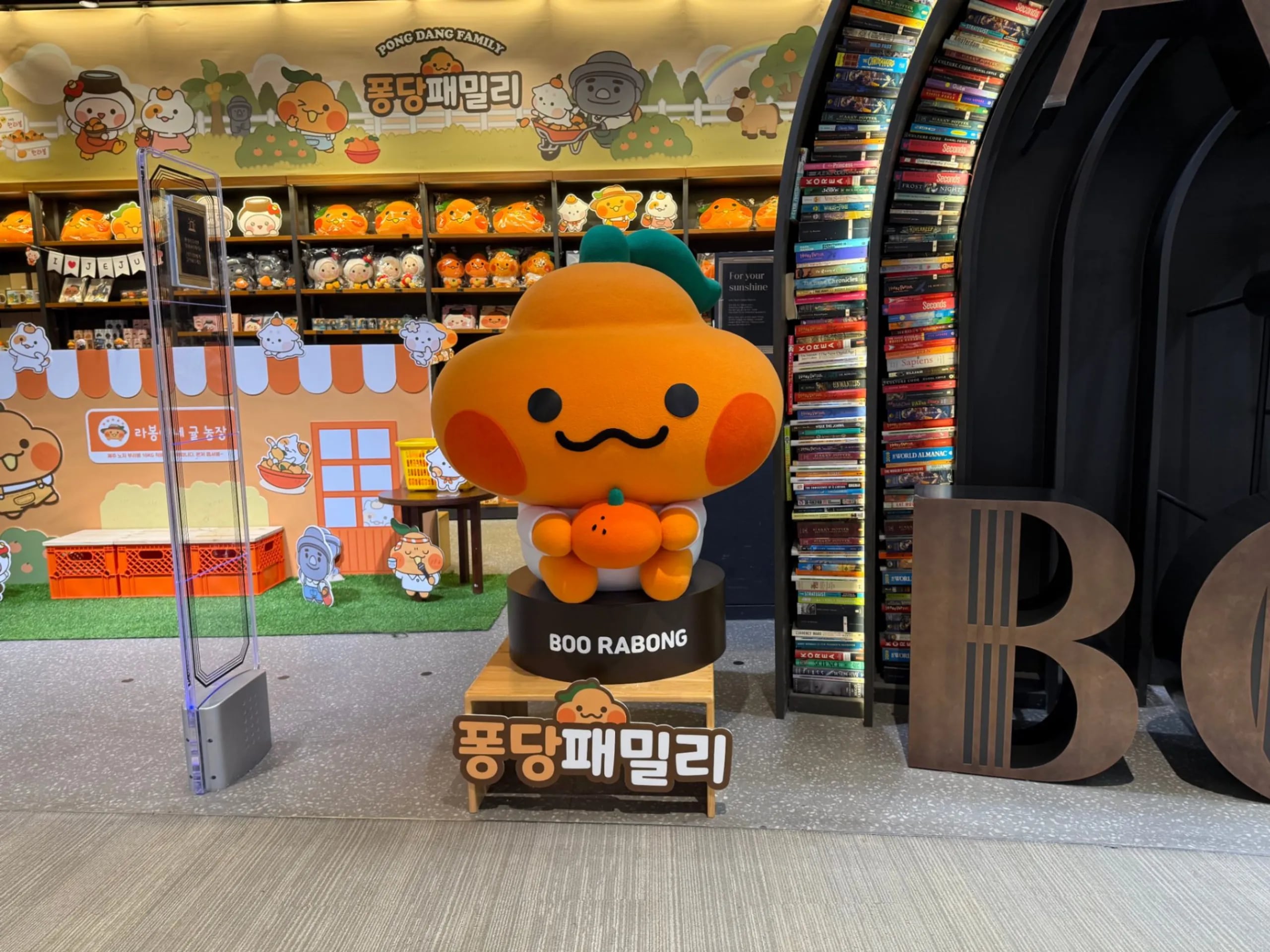 포트폴리오 대표사진